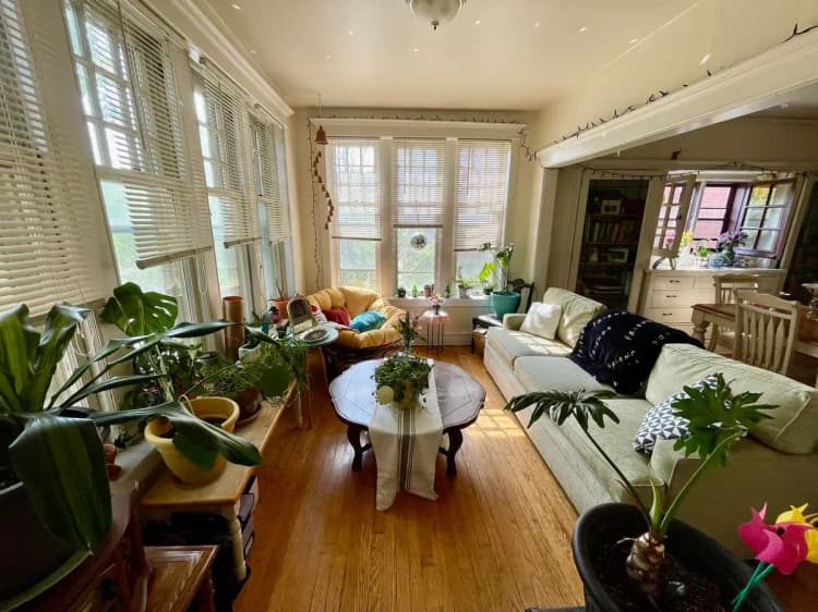 undefined apartments for rent - image - large (3).jpeg