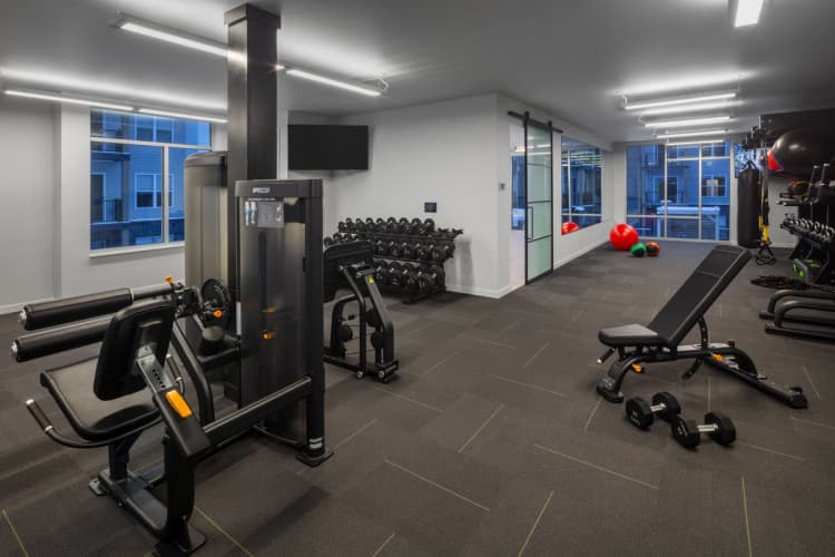 Milwaukee County apartments for rent - image - a gym with cardio equipment and weights in a building