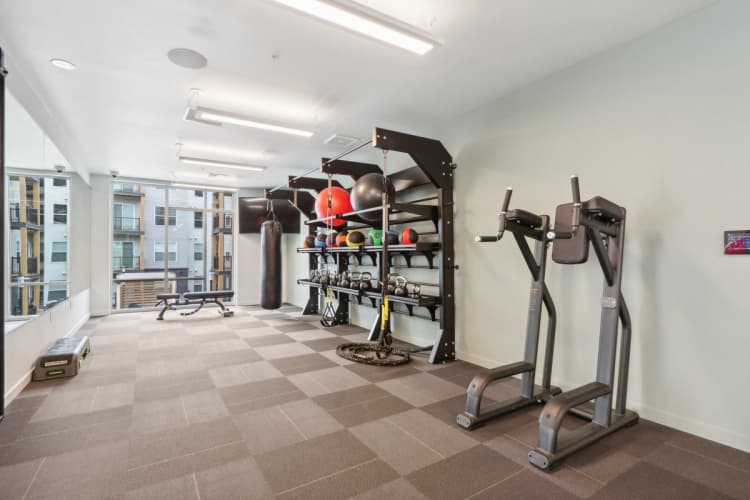 Milwaukee County apartments for rent - image - A gym with a variety of equipment including treadmills, weights, and exercise machines
