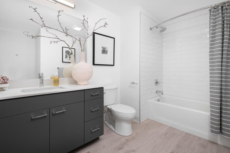 Milwaukee County apartments for rent - image - yardi_image_1789454713915_56_20138208