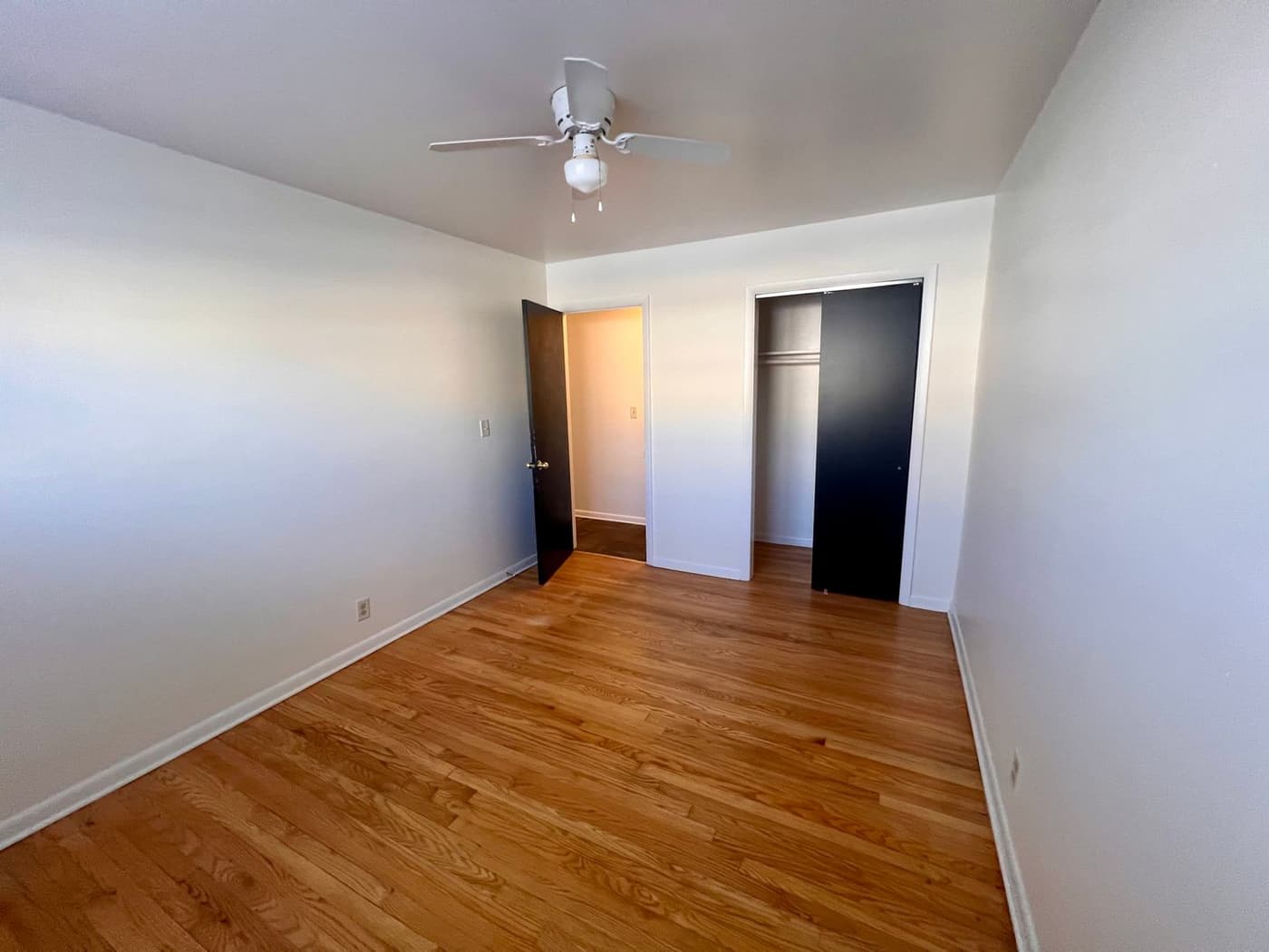 6230 Packard - Apartment - 5