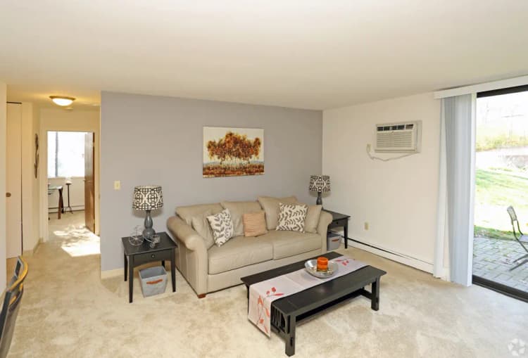 undefined apartments for rent - image - living-room1.webp