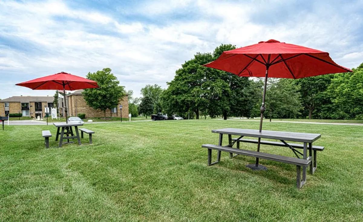 undefined apartments for rent - image - DSC_2604_EDIT.jpg - 2