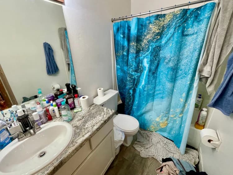 undefined apartments for rent - image - large (23).jpeg
