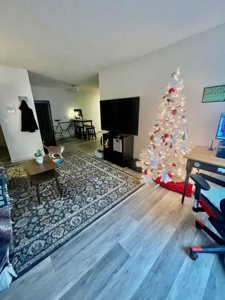 undefined apartments for rent - image - large (1).jpeg