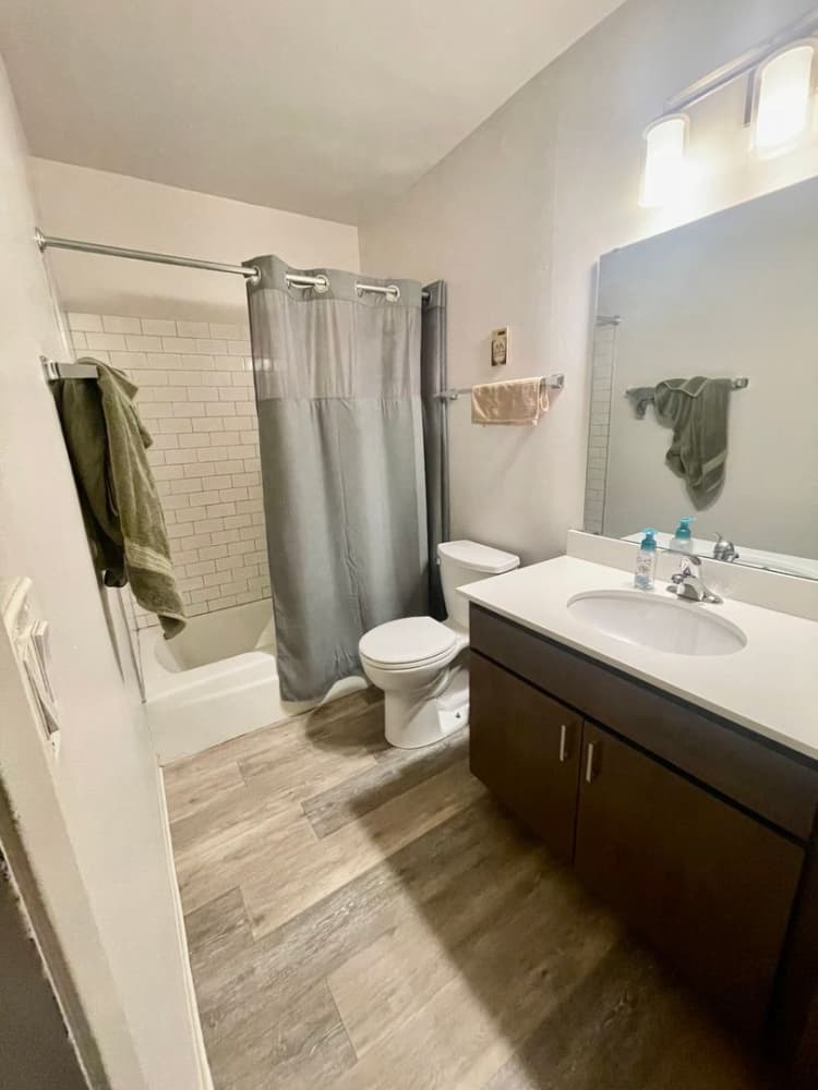 undefined apartments for rent - image - large (9).jpeg