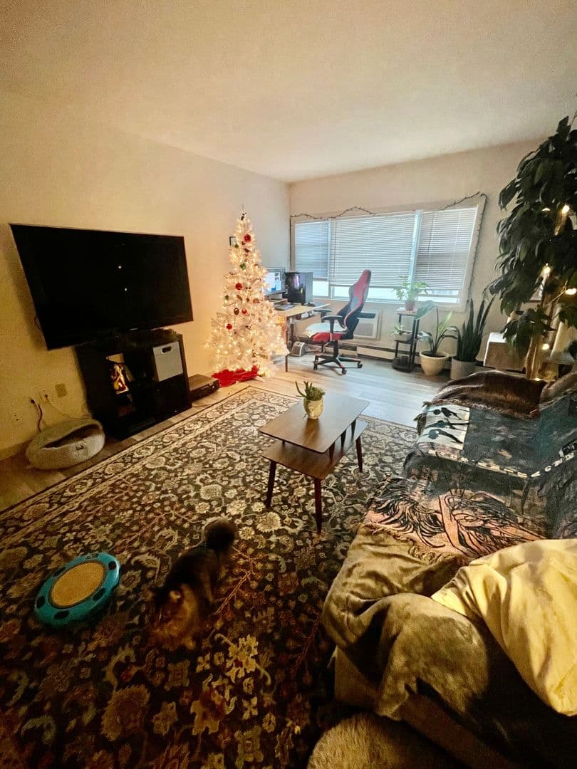 undefined apartments for rent - image - large.jpeg - 1