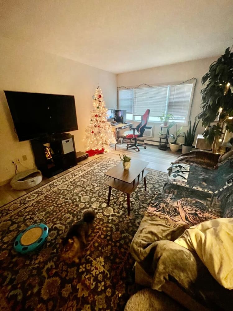 undefined apartments for rent - image - large.jpeg