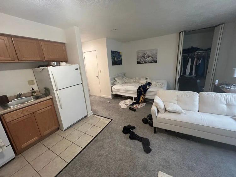 undefined apartments for rent - image - large (4).jpeg
