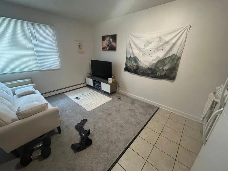 undefined apartments for rent - image - large (6).jpeg