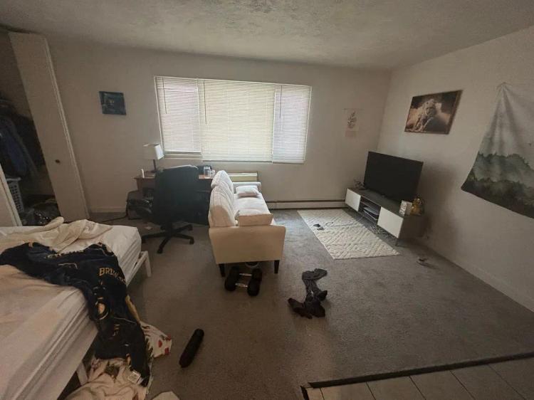 undefined apartments for rent - image - large (7).jpeg