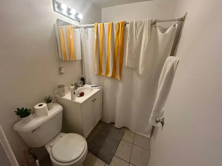 undefined apartments for rent - image - large (9).jpeg