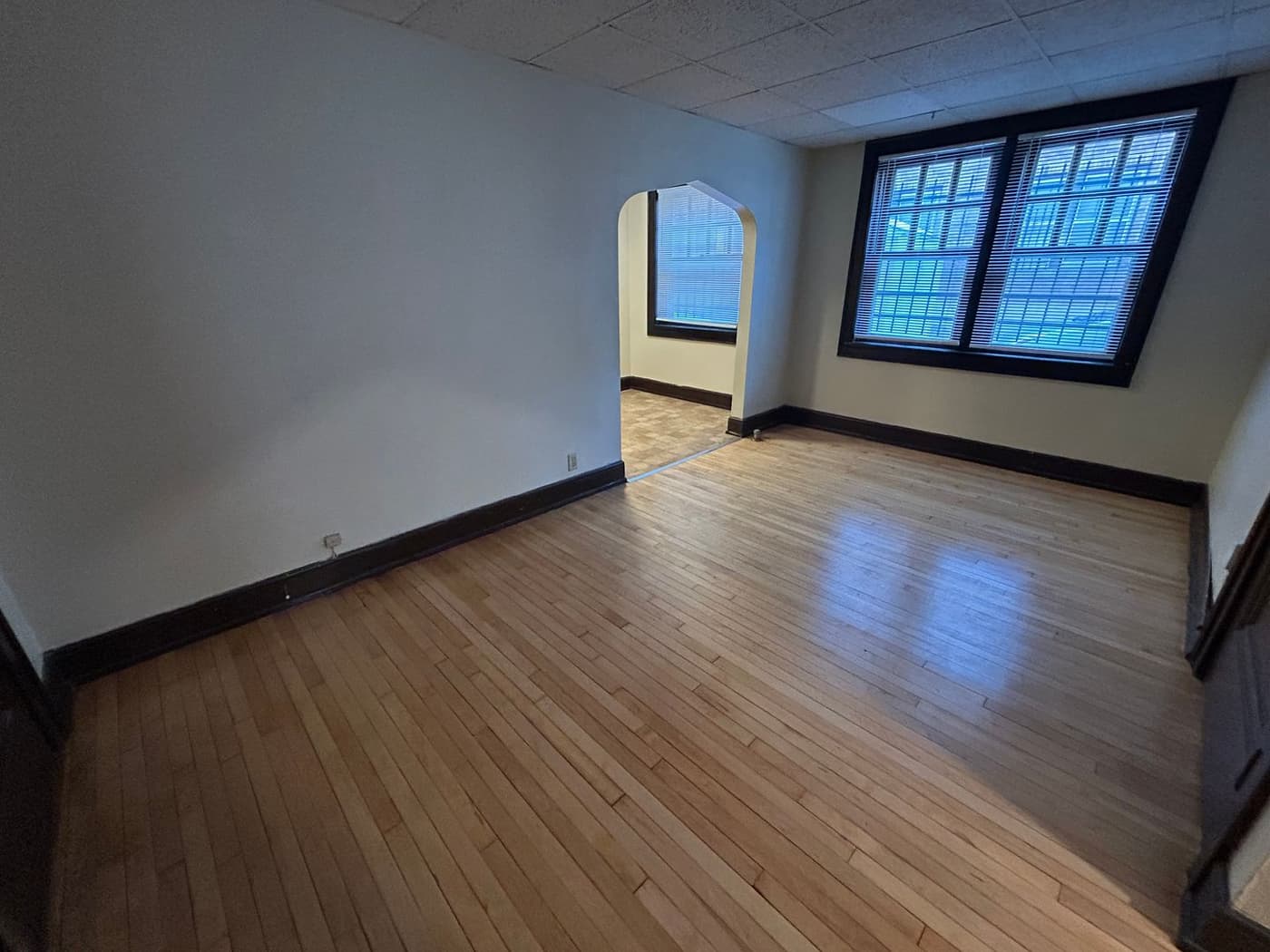 undefined apartments for rent - image - large (6).jpeg - 1