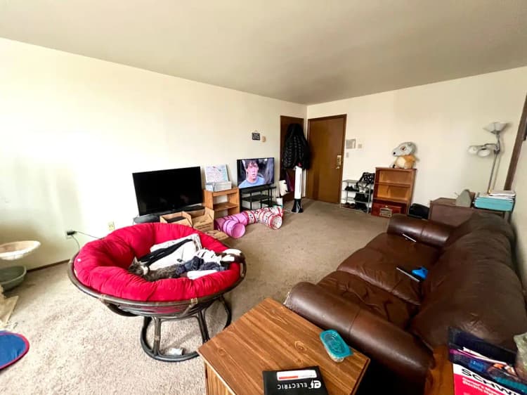 undefined apartments for rent - image - large (19).jpeg