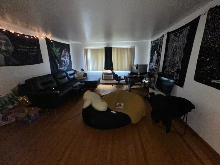 undefined apartments for rent - image - large (13).jpeg