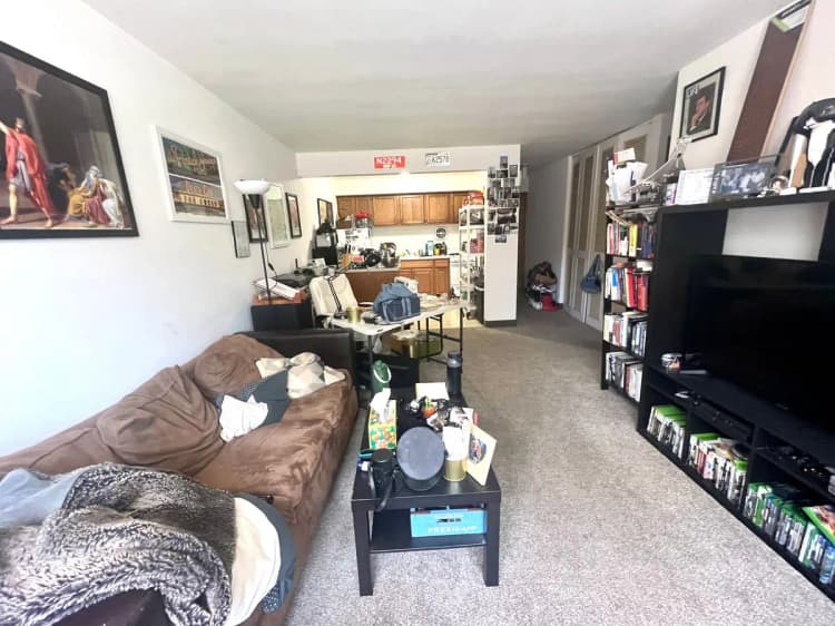 undefined apartments for rent - image - large (1).jpeg