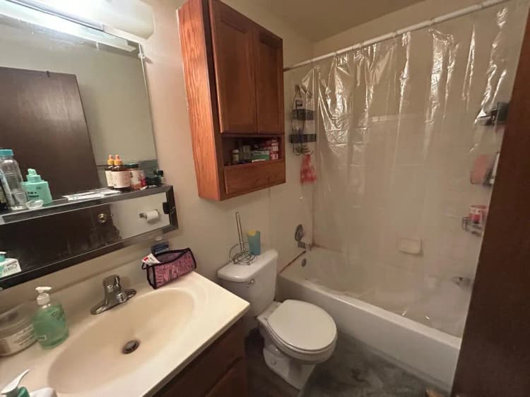 undefined apartments for rent - image - large (10).jpeg