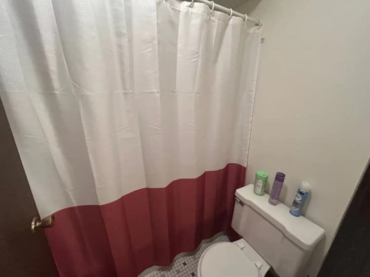 undefined apartments for rent - image - large (19).jpeg