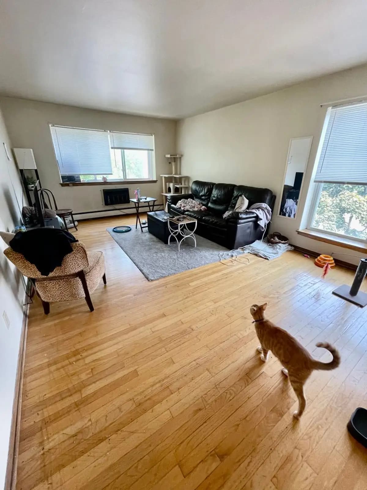 undefined apartments for rent - image - large (1).jpeg - 0
