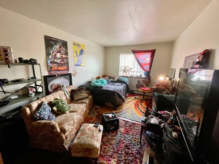 undefined apartments for rent - image - large (10).jpeg