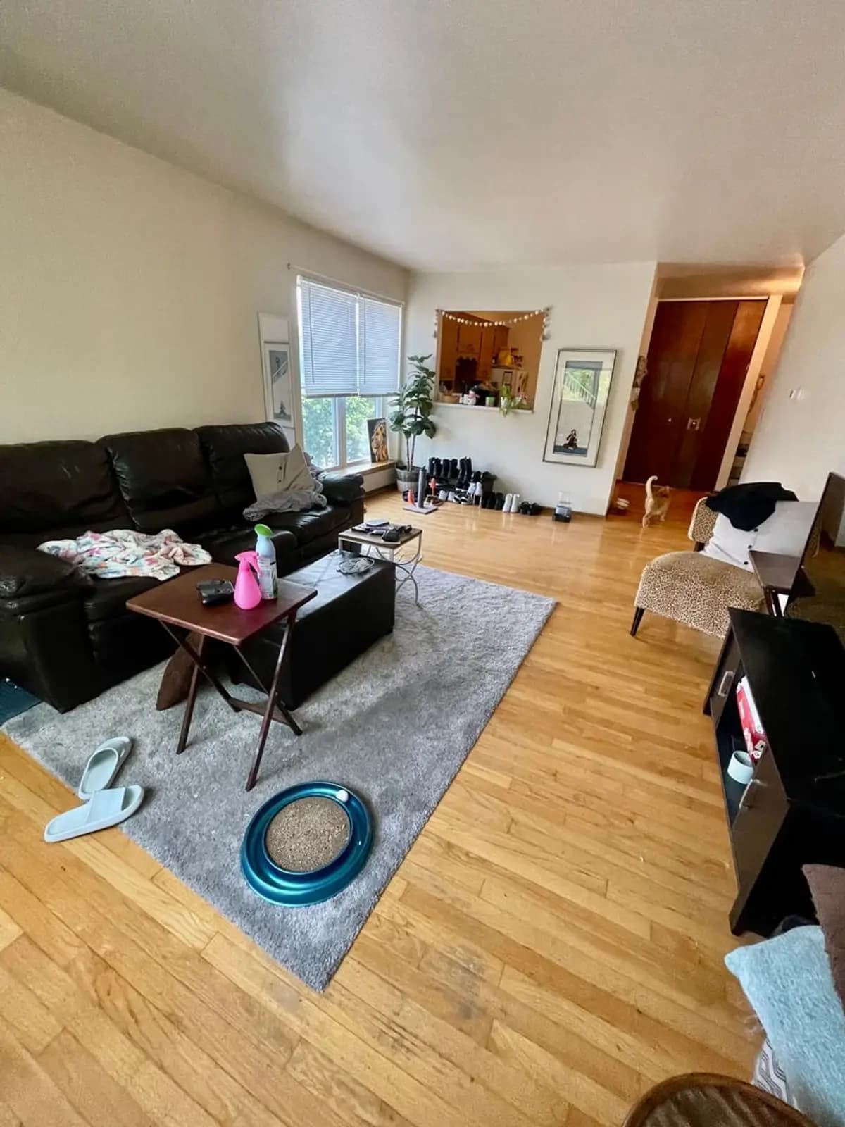 undefined apartments for rent - image - large (2).jpeg - 1