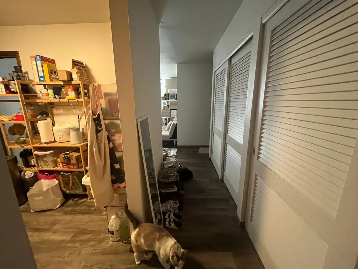 undefined apartments for rent - image - large (12).jpeg - 3