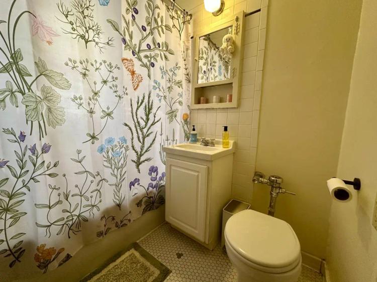 undefined apartments for rent - image - large (9).jpeg