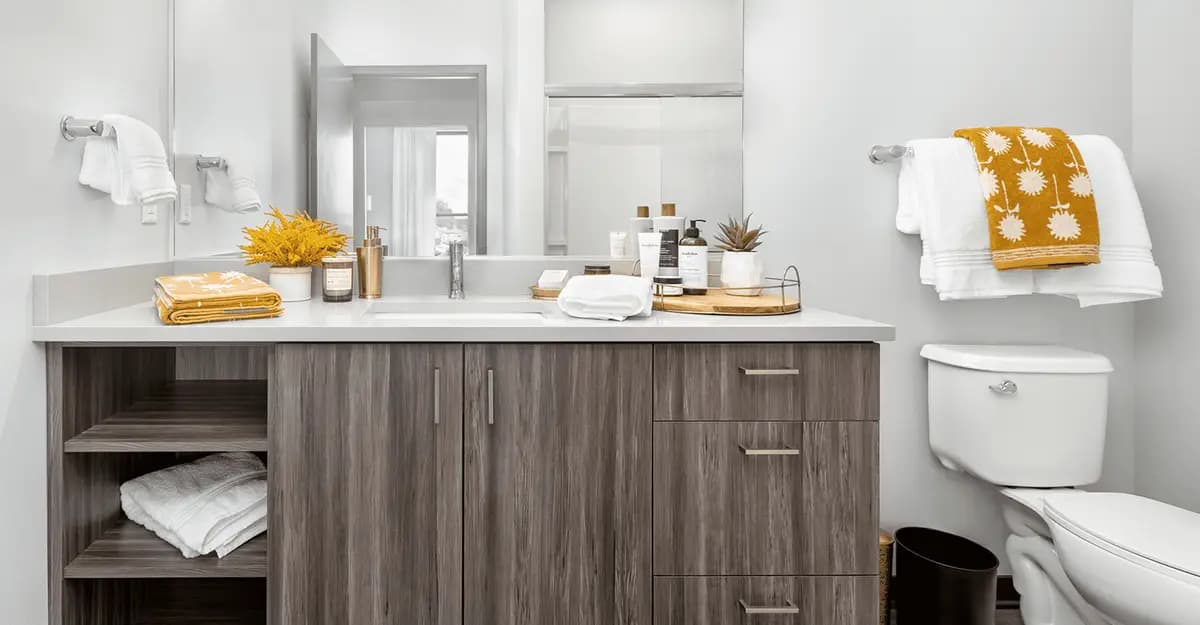 undefined apartments for rent - image - The-West_bathroom.png - 1