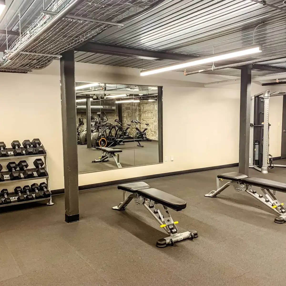 undefined apartments for rent - image - img_0331.jpeg.webp - 1