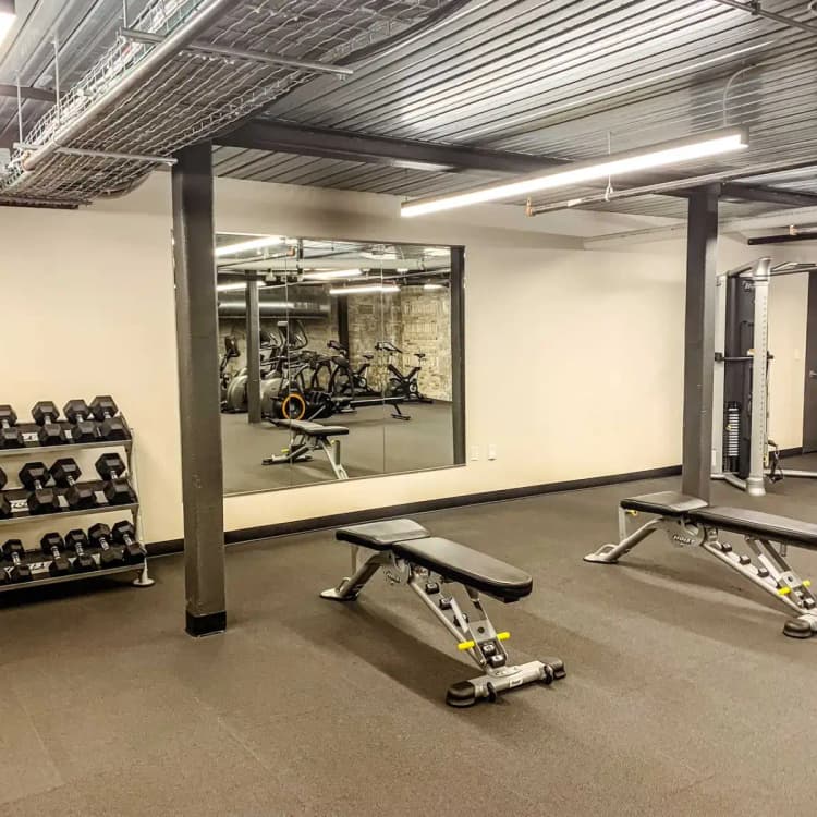 undefined apartments for rent - image - img_0331.jpeg.webp