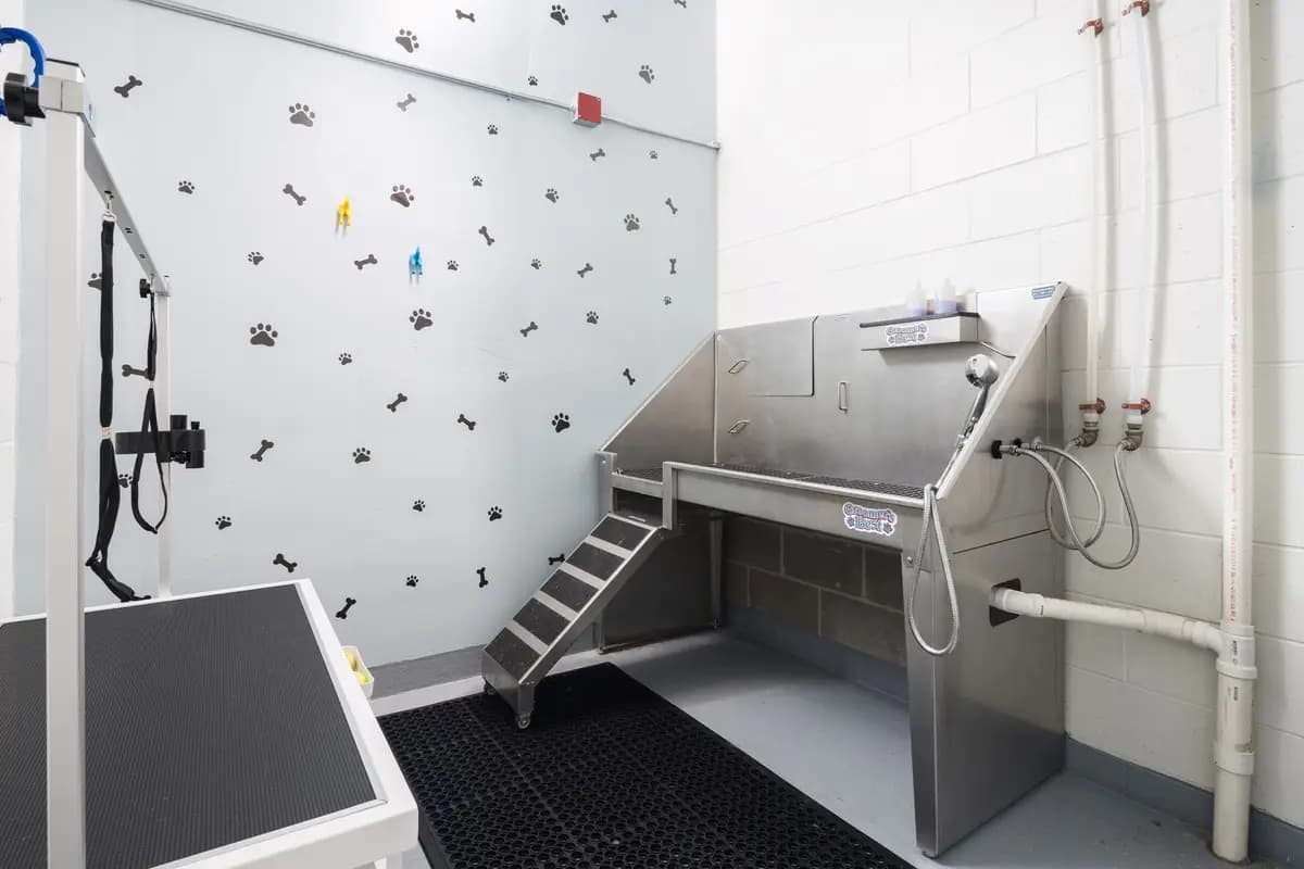 undefined apartments for rent - image - DogSpa.jpg