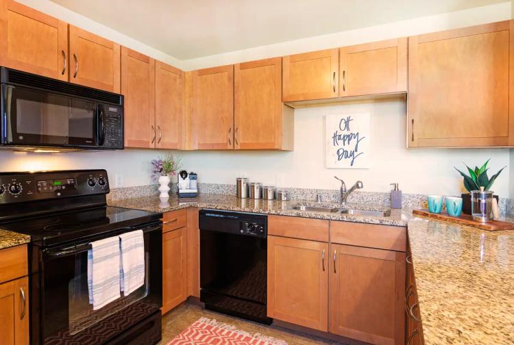 undefined apartments for rent - image - dsc_2872m2_med.webp
