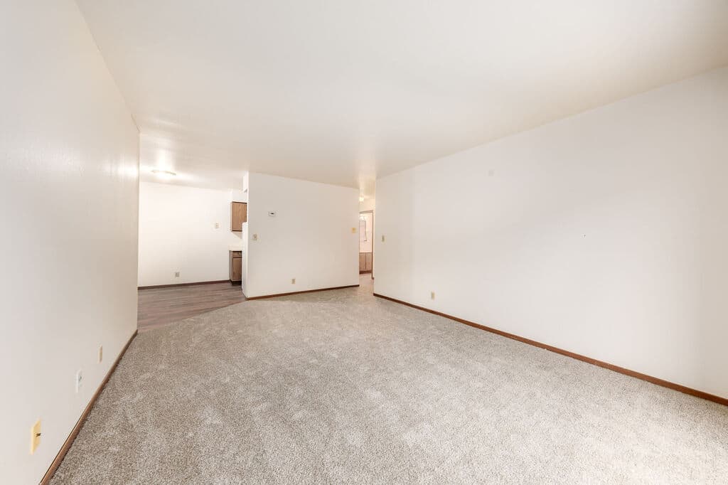 undefined apartments for rent - image - 169030985.jpg