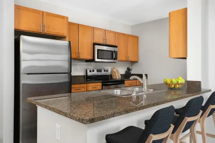 undefined apartments for rent - image - imgi_69_dsc_8484.jpg