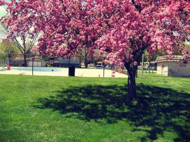 undefined apartments for rent - image - original.jpg_6.jpeg