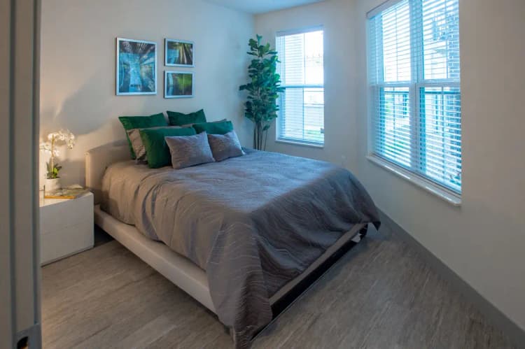 undefined apartments for rent - image - dsc_7503.webp