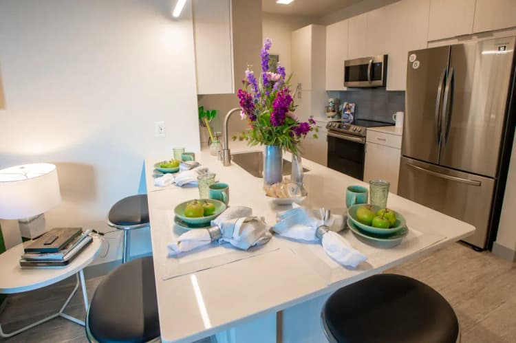 undefined apartments for rent - image - dsc_7505.webp