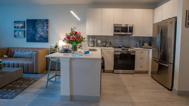 undefined apartments for rent - image - dsc_7523.webp