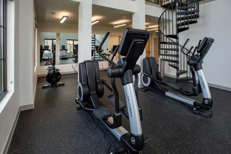 undefined apartments for rent - image - dsc_7599.webp