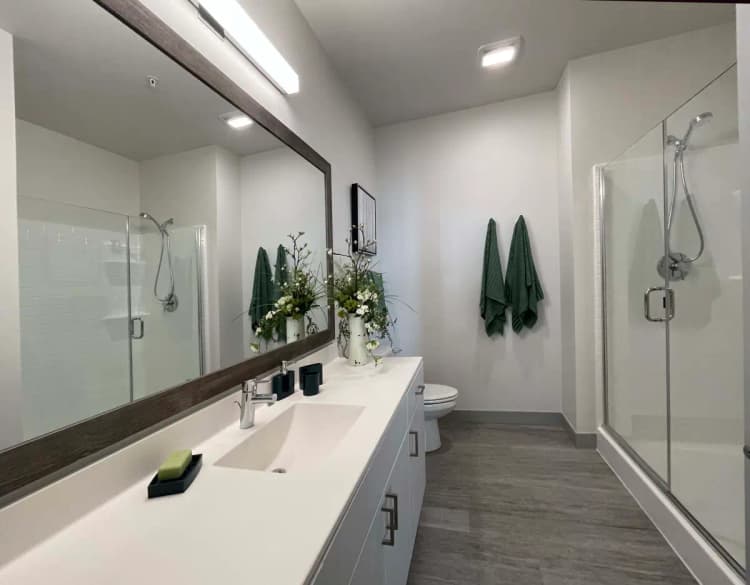 undefined apartments for rent - image - img_5416.webp