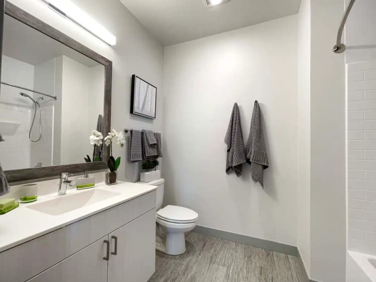 undefined apartments for rent - image - img_5435.webp