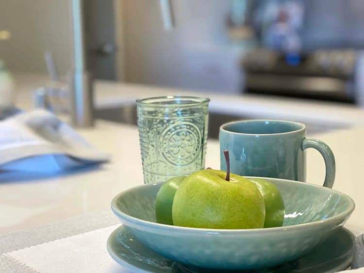 undefined apartments for rent - image - img_5440.webp