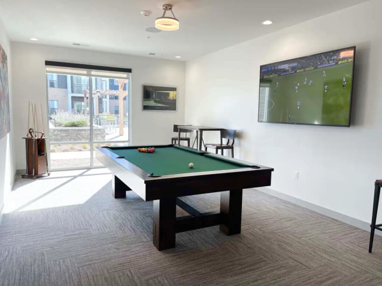 undefined apartments for rent - image - img_5500.webp