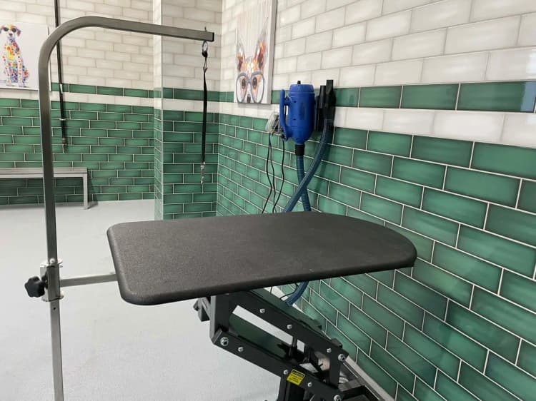 undefined apartments for rent - image - img_8365.webp