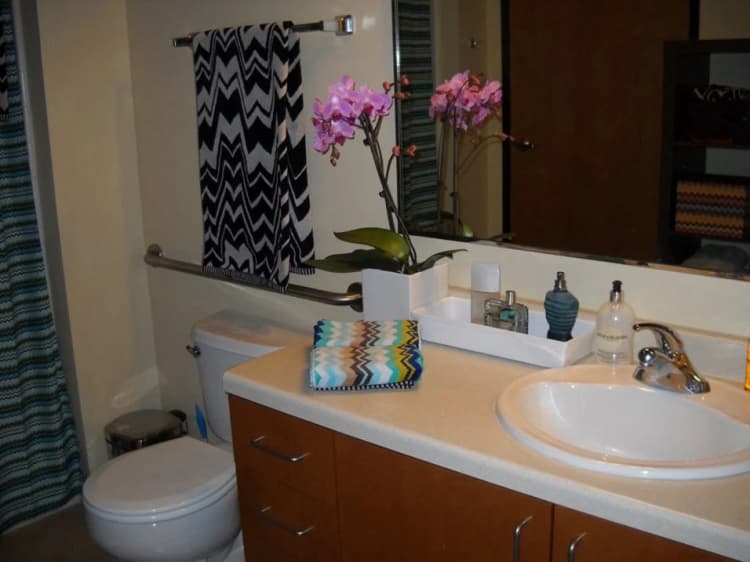 undefined apartments for rent - image - schuster 17.webp