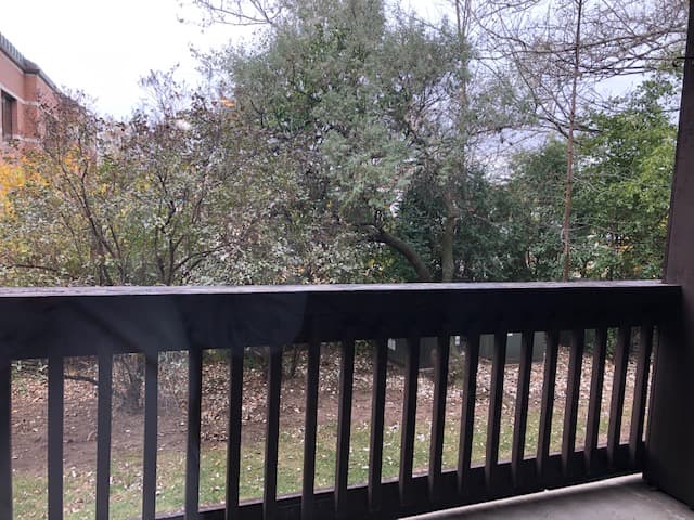 undefined apartments for rent - image - IMG_4697.jpg - 3