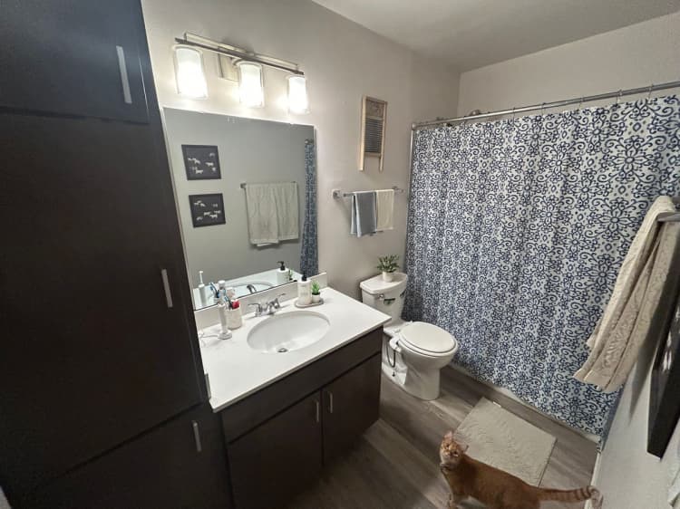 Milwaukee County apartments for rent - image - large (72).jpeg