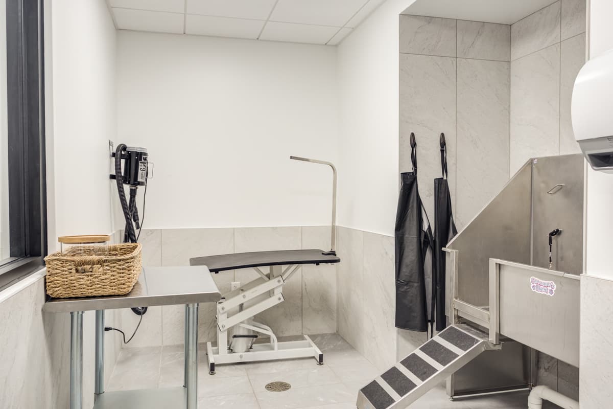 Milwaukee County apartments for rent - image - Pet Spa