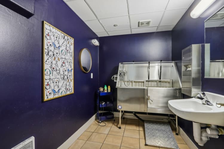 Milwaukee County apartments for rent - image - Dog Wash Station