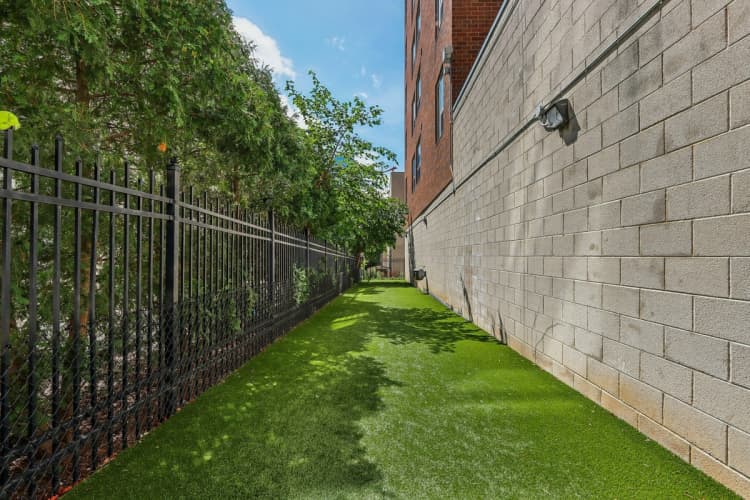 Milwaukee County apartments for rent - image - Dog Run